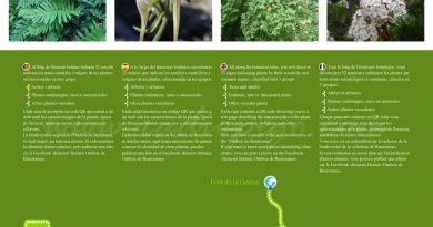 Agró posa en valor la riquesa de l’Ombria de Benirrama amb un itinerari botànic