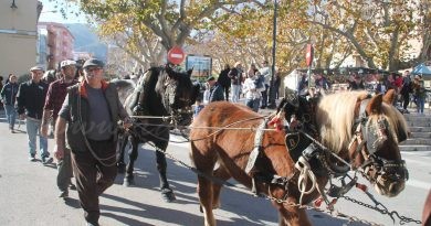 Enguany no es plantarà el pi per Sant Antoni i el Mig Any de Moros i Cristians ha estat ajornat