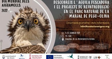 Activitats a la Marjal per a conéixer a l’àguila Estell pel Dia dels Aiguamolls