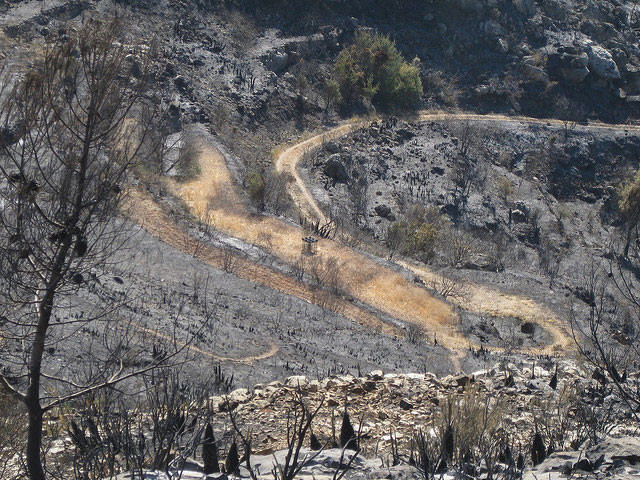 Agricultura desgrana en la Mesa de Concertació les ajudes, plans i actuacions per a la regeneració post-incendi