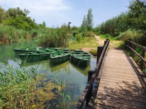 Tornen les activitats d’estiu per a conéixer l’entorn i la fauna de la Marjal