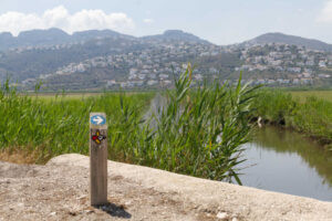 Pego Viu i Agró demanaran una reunió de la Comissió de l’aigua de la Marjal perquè l’Ajuntament de Pego informe de la petició d’ampliació de les d’extraccions d’aigua potable