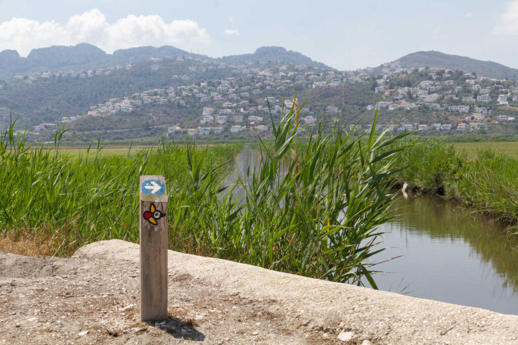 Pego Viu i Agró demanaran una reunió de la Comissió de l’aigua de la Marjal perquè l’Ajuntament de Pego informe de la petició d’ampliació de les d’extraccions d’aigua potable Pego Viu i Agró demanaran una reunió de la Comissió de l’aigua de la Marjal perquè l’Ajuntament de Pego informe de la petició d’ampliació de les d’extraccions d’aigua potable