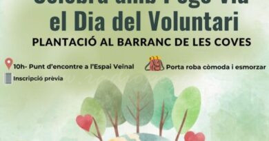 Pego Viu celebra el Dia del Voluntariat diumenge amb una jornada de repoblació