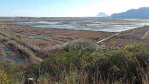 El Parc Natural de la Marjal Pego-Oliva celebra el seu 30é aniversari amb unes jornades divulgatives