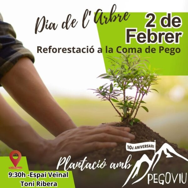 Pego Viu celebra el dia de l’arbre reforestant la Coma
