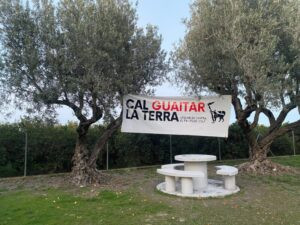 El projecte del PAI Pego Golf enrarix la festivitat de Sant Antoni