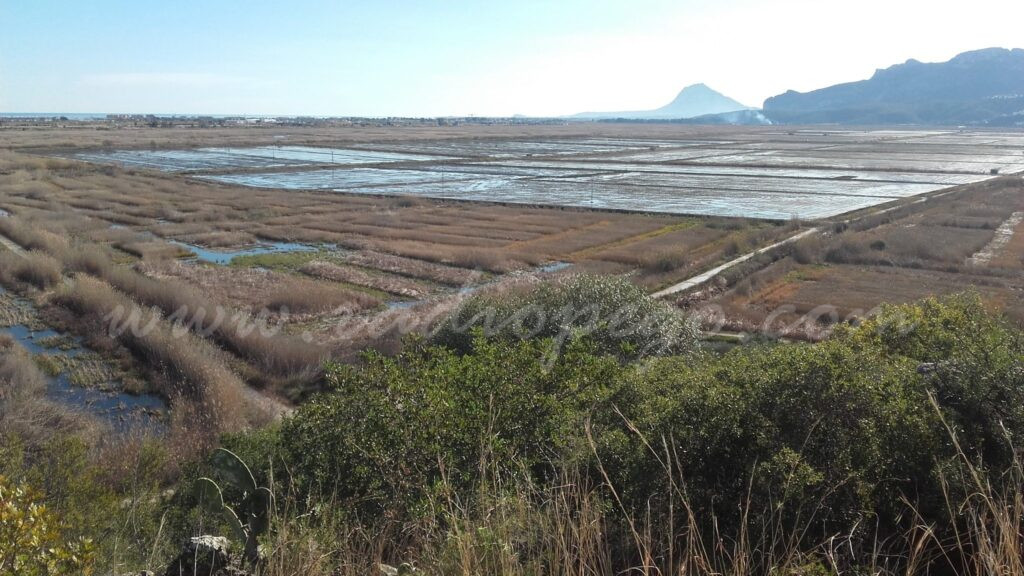 «La Marina Alta com a reserva de la Biosfera», proposta del primer director conservador del PN de la Marjal de Pego-Oliva, Vicente Urios