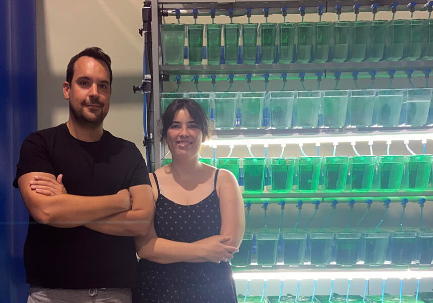 El neurocientífic pegolí José Torres coordina una investigació que demostra que l’exposició dels peixos zebra als pesticides provoca alteracions neuronals