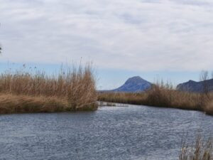 Tres anys després i amb un nou president, es reactiva la Junta Rectora del Parc Natural de la Marjal de Pego-Oliva