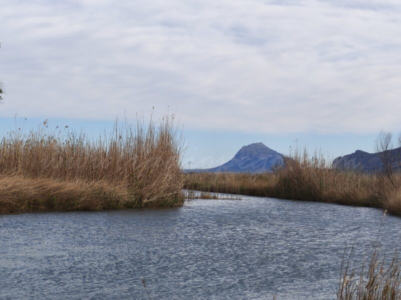 Tres anys després i amb un nou president, es reactiva la Junta Rectora del Parc Natural de la Marjal de Pego-Oliva Tres anys després i amb un nou president, es reactiva la Junta Rectora del Parc Natural de la Marjal de Pego-Oliva