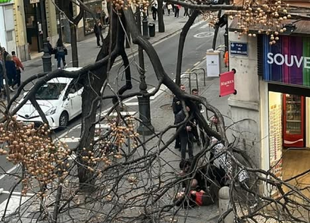 Dos pegolines ferides a València per la caiguda d’un arbre a causa del vent