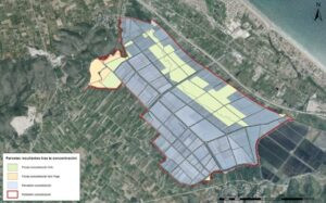Es publica l’acord de concentració parcel·lària de la Marjal Pego-Oliva