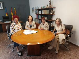“Una passarel·la de xicotetes dimensions paral·lela a l’actual pont del Tonyinero” és una “solució viable” per a l’Ajuntament d’Oliva